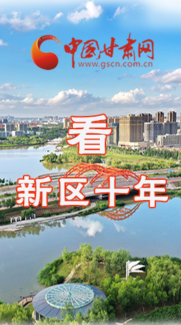 圖解|崛起！新區(qū)十年