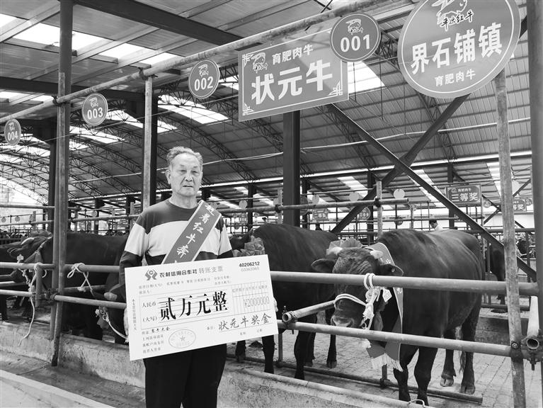 120頭“平?jīng)黾t?！膘o寧爭霸