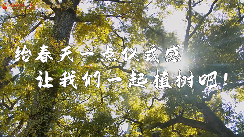 短視頻|給春天一點(diǎn)儀式感，讓我們一起植樹吧！