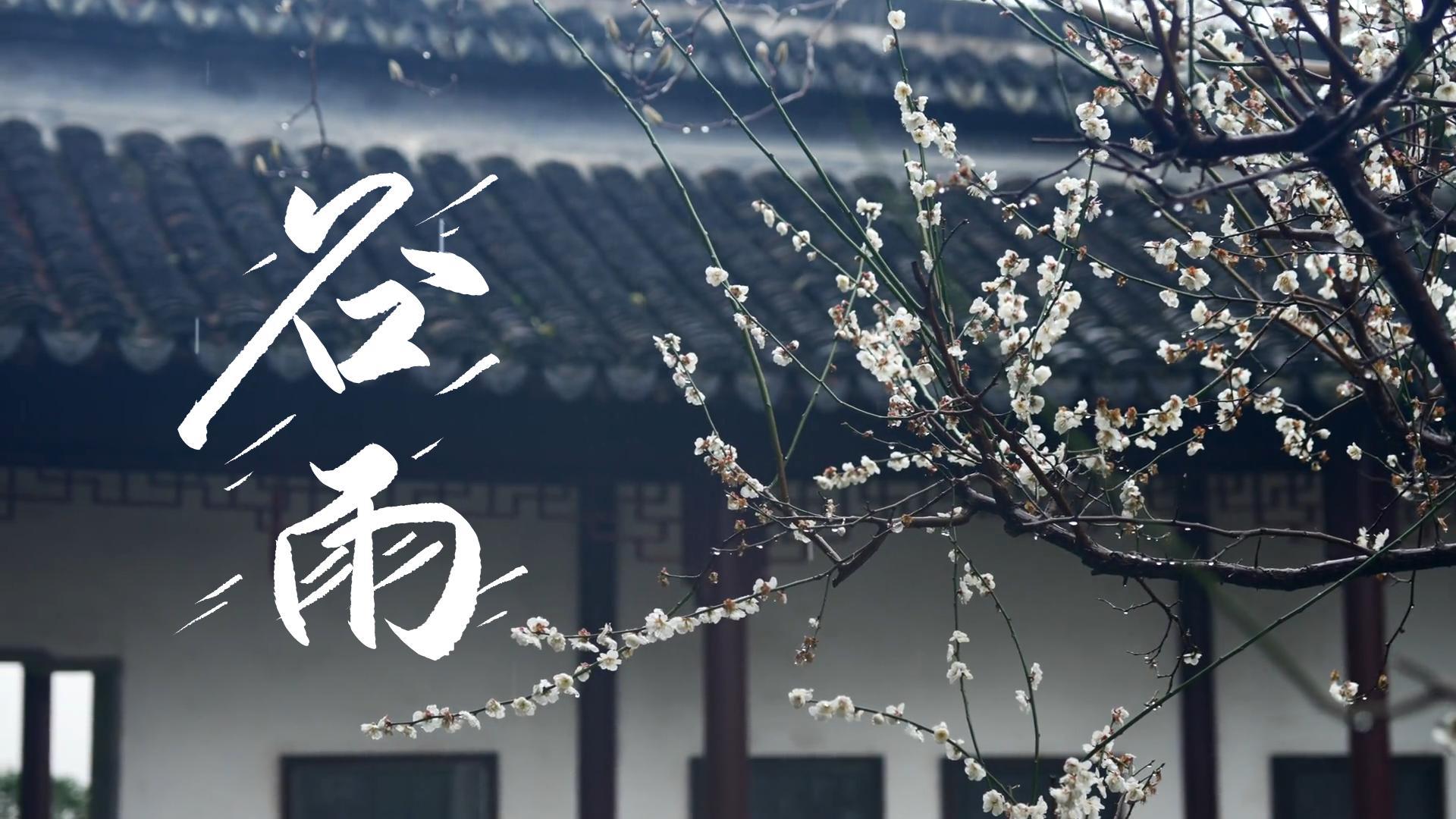 【節(jié)氣里的大美甘肅】谷雨，春天的最后一次回眸