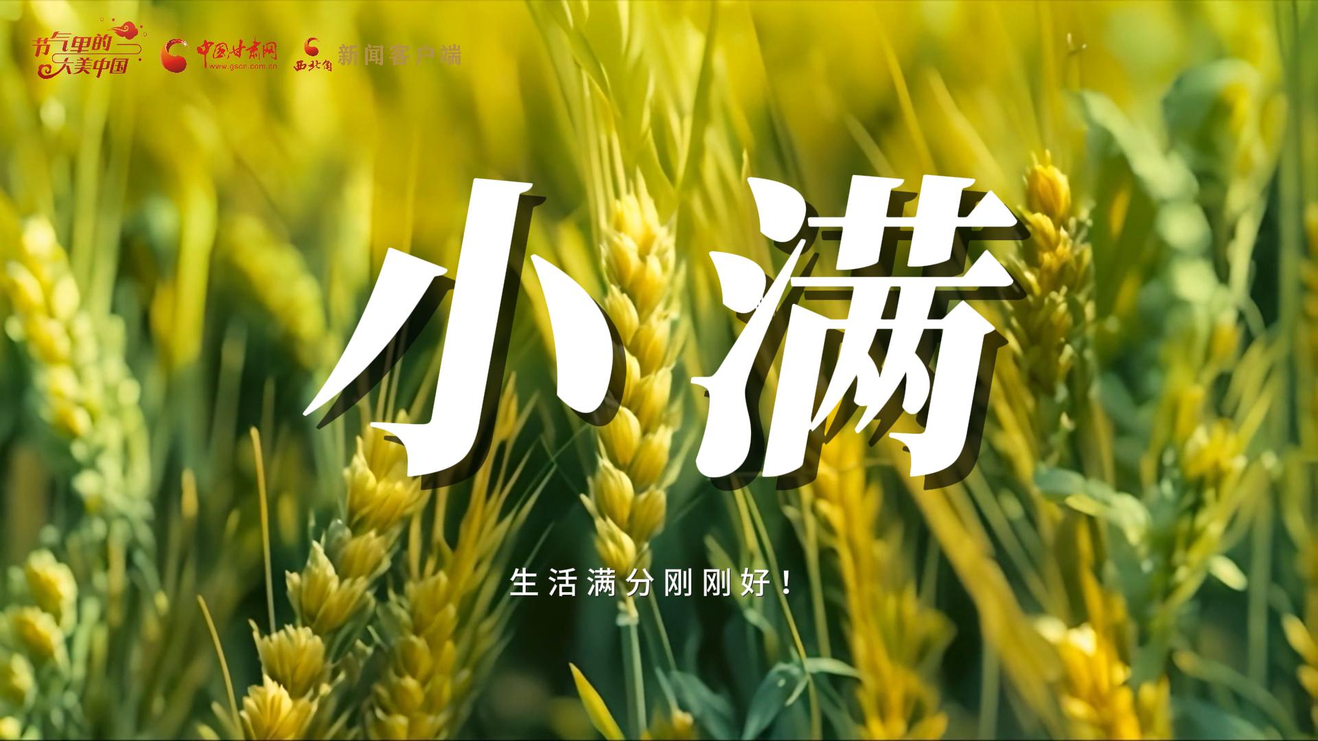 【節(jié)氣里的大美甘肅·小滿】生活滿分剛剛好！