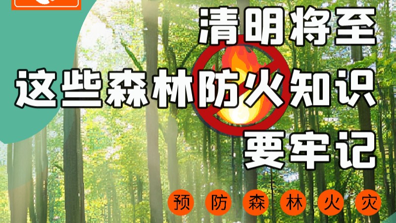 【甘快看】圖解|緊繃“安全弦”！清明，這些森林防火知識要牢記