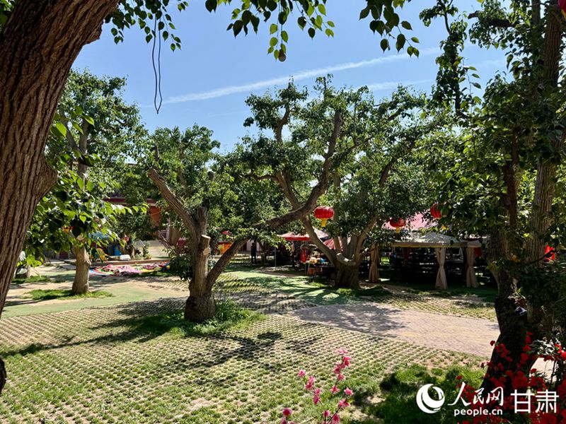 什川古梨園。人民網記者 焦隆攝