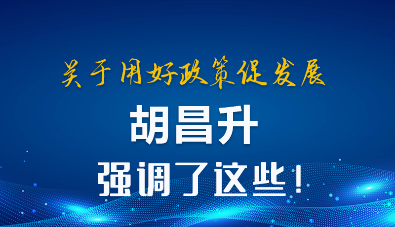 圖解|關于用好政策促發(fā)展 胡昌升強調(diào)了這些！